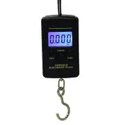40kg x 10g Mini Digital Scale for Fishing Luggage Travel Weighting Steelyard Hanging Electronic Hook Scale Kitchen Weight Tool - with backlight