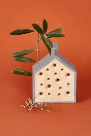 Little Bee House--IS-CD527
