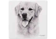 Ashdene Delightful Dogs - Golden Retriever Ceramic Coaster