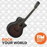 Tanglewood Winterleaf Acoustic Guitar 12-String Super Folk Antique Vintage Burst