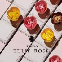 在飛比找蝦皮購物優惠-日本 🇯🇵  TOKYO TULIP ROSE  超美的鬱金