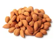 Natural Sweet Apricot Seeds Kernels in Resealable Bag 2LB