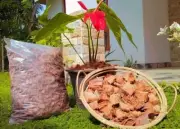 Natural Coconut Husk Dry Chips Orchids Anthurium Growing Organic Coir Chips