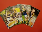 2008 AFL Select West Coast Eagles 12 card Team Set. Lynch, Selwood, Cox, Kerr