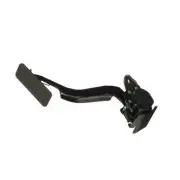 Accelerator Pedal Sensor Standard APS106