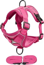 Cat Harness, Harness for Cats, High-Performance Kitten Lead, Cat Harness and Lead Set for Walks with Kittens and Puppies, Escape Proof Kitten Harness, Reflective