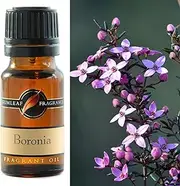 Boronia Fragrant Oil - 10ml, Cruelty Free & Vegan, Phthalate-Free Fragrance