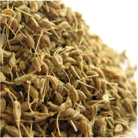 在飛比找蝦皮購物優惠-【天然養生小舖】大茴香籽【Anise】｜辛香料｜茴香家族 遨