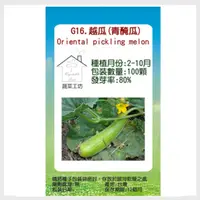 在飛比找PChome24h購物優惠-【蔬菜工坊】G16.越瓜(青醃瓜)種子