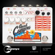 Electro Harmonix Grand Canyon Delay & Looper Pedal
