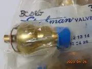 (1) STRAHMAN BCBRG Ball Check Valve W/ Copper Gasket M-Series Water Mixing Units