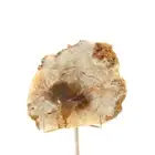 Minerals And Stones Précieuses. Chalcedony 590.0 Ct. Knotwork, Savoy, France