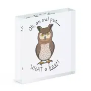 Oh An Owl Pun What A Hoot Acrylic Photo Block Frame Funny Joke Bird Animal