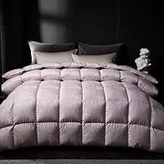 White Goose Down Comforter Queen/King Size - 800 Fill Power All Seasons Duvet Insert - Lightweight & Fluffy Bed Comforter, Ultra Soft Warmth Down Comforter with Cotton Cover,F,200x230CM/79 x90