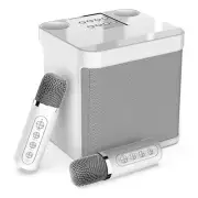 Portable Karaoke Machine with 2 Microphones, Bluetooth Speaker PA System4487