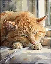 TAOPAOLAB Sleeping Cat Paint by Numbers Kit for Adults - DIY Orange Tabby by Window Painting on Canvas 16x20In, Acrylic Paint Set, Suitable for Beginners, Art for Home Decoration or Gifts