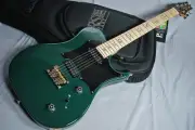 Paul Reed Smith(PRS) Myles Kennedy HU Hunter s Green