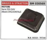 Tank Fuel Briggs&stratton Engine Lawn Mower Lawnmower 030569