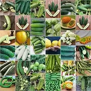 Cucumber 'Mix' 22+ Seeds All Types Mixed Spring Summer Vegetable Garden