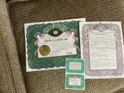 CABBAGE PATCH NEWBORN PAPERS WITH NAME TAG NO DOLL INCLUDED 2001 NORA LEE
