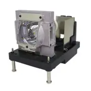 AL™ Series Lamp & Housing for The BenQ PX9710 Projector - 90 Day Warranty