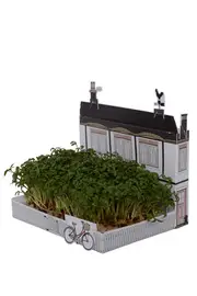 House Village Mini Garden Kit--TEL-AS-VILLAGE3