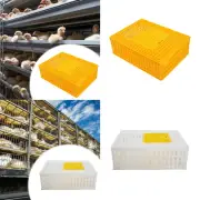 Poultry Carrier Crate Breathable Transport Box for Pigeon Hamster Goose