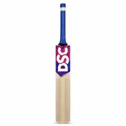 DSC Intense Force KW Cricket Bat