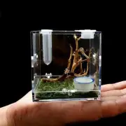 1pc Spider Jumping Spider Insect Habitat House Small Pet Home Clear Acrylic