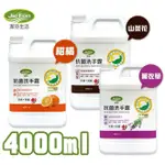 潔芬JIEFEN 抗菌洗手露補充罐 4000ML ☆超商限1瓶不加其他商品★