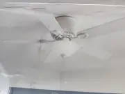 Harbor Breeze Mayfield 44-in White Ceiling Fan with LED Lights (5-Blade)
