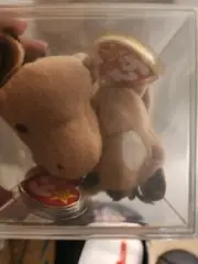 Ty Beanie baby Derby! Rare Spot and No Spot(fine mane!)