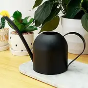 Small Watering Can,Watering Can Pot,Mini Watering Pot,Stainless Steel Indoor Watering Can,500ML Plants Watering Pot,Vintage Plants Watering Can for Office Potted Plants (Black)