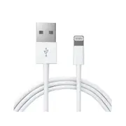 MFi Licensed Apple Lightning USB Cable - 3 metres
