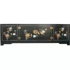 Chinese Black TV Stand Cabinet Entertainment Unit-Hand Painted Flower and Bird
