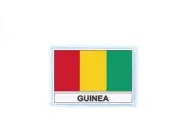 Patch Badge Printed Flag Rg Guinea