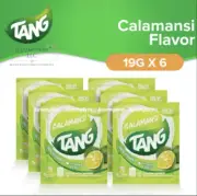 Tang Instant Drink Mix - Calamansi Flavor 19g (6 Packs)
