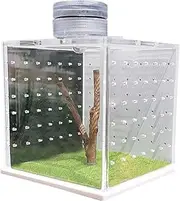 Jumping Spider Terrarium, 8x6.5x6.5cm, Transparent Turtle Tank, Small Praying Mantis Habitat, Breeding Box with Light & Humidifier for Small Tree Dwelling Reptiles, Clear