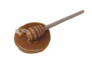 Display Faux Food Prop Spilled Honey Dipper With Bee New