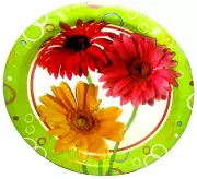 SPRINGTIME ~Dessert Paper Plates ~ 8 Ct. ~ 7" Plates ~ VIBRANT DAISIES