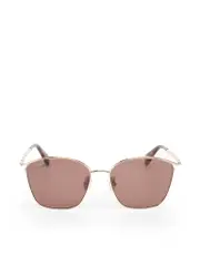 Gold Metal Brown Tinted Sunglasses