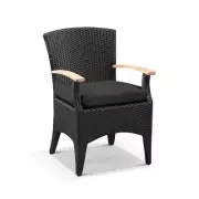 Kai Outdoor Wicker and Teak Dining Arm Chair