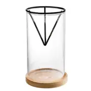 Avocado Tree Growing Kits, Glass Avocado Seed Vase With Triangle