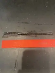 8” Paddle Tail Worm Watermelon Candy 5 Per Pack Hand Poured