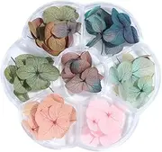 SOESFOUFU 1 Box 50pcs Real Dried Flowers Nail Decal Dried Charm Nail Decorations Nail Art Nail Art Dried Leaf Manicure Stickers Toenail Art Dry Leaves 3D Two-Color