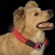 Illuminated Dog Collar RED LED