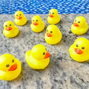 黃色小鴨 小黃鴨 (4吋-單入) 洗澡玩具 小鴨子 填充玩具 橡膠鴨 兒童玩具 戲水 迷你鴨 泡澡 (2.2折)