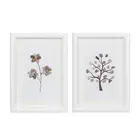 Melrose Framed Tree/Floral Pebble Art, Set of 2, White/Brown - 88325DS