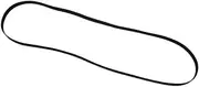 Turntable Belt for Record Player 20.7" Replacement Flat Medium