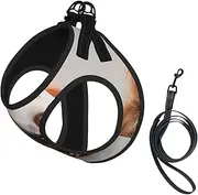 Adorable Sloth print Dog Harness and Leash Set, Reflective Adjustable Puppy Vest for Small Medium Large Dogs, Cats